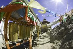Shigatze