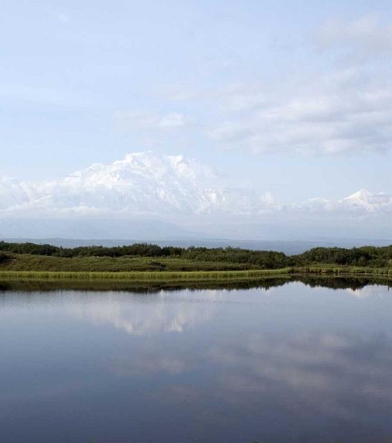 denali4.jpg