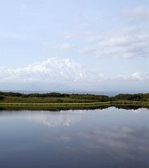 denali4
