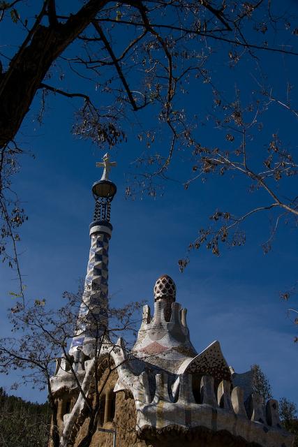 IMGP3977.jpg