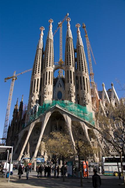 IMGP3736.jpg