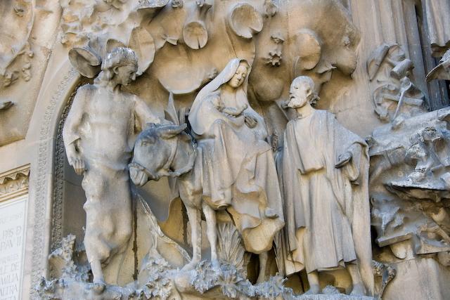IMGP3778.jpg