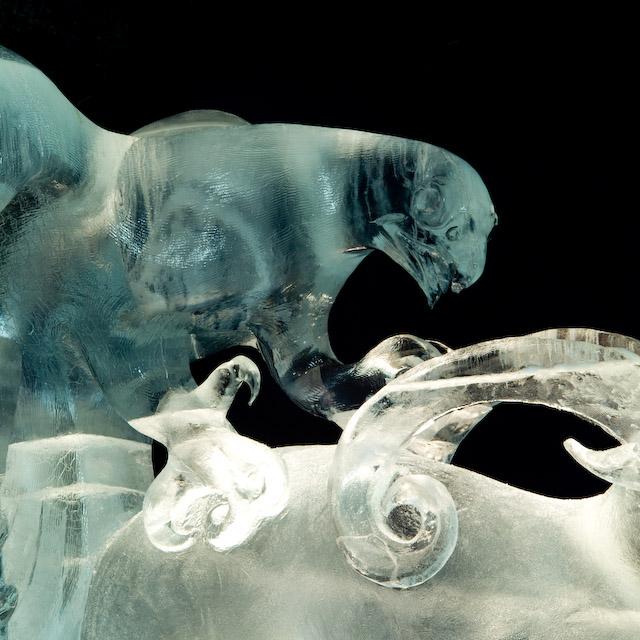 2008_Ice_Carvings_Hasselblad_Kodak_554630.jpg