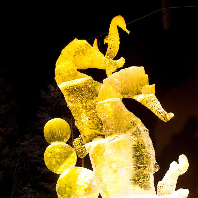 2008_Ice_Carvings_Hasselblad_Kodak_554670.jpg