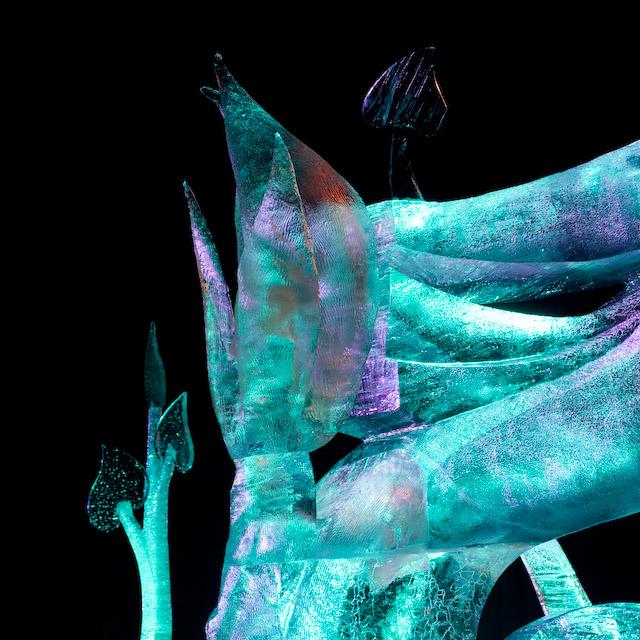 2008_Ice_Carvings_Hasselblad_Kodak_554675.jpg