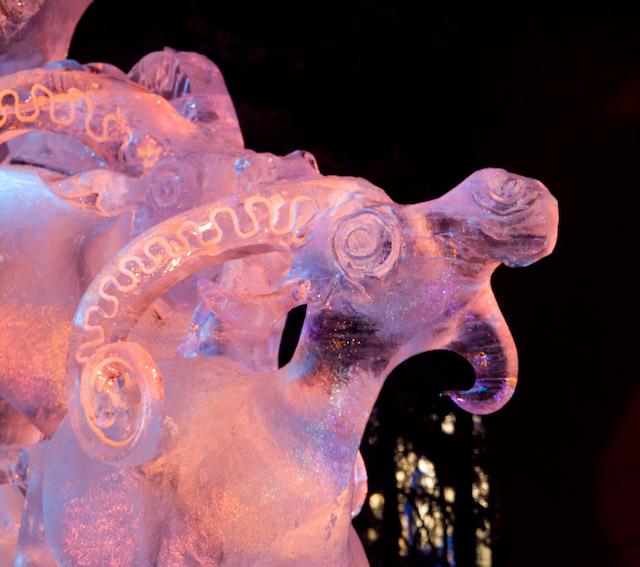 2008_Ice_Carvings_Hasselblad_Kodak_554713.jpg