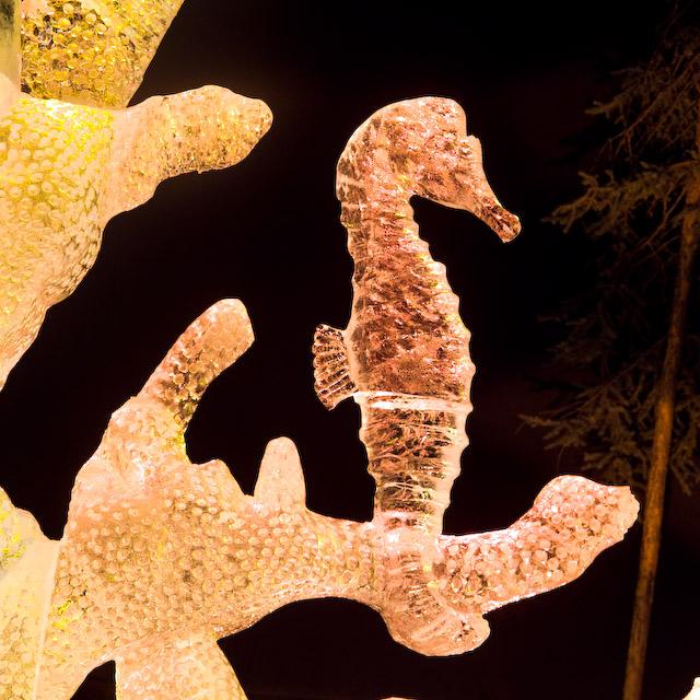 2008_Ice_Carvings_Hasselblad_Kodak_554726.jpg