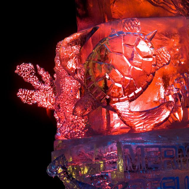 2008_Ice_Carvings_Hasselblad_Kodak_554732.jpg