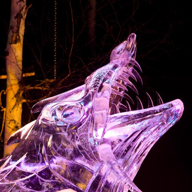 2008_Ice_Carvings_Hasselblad_Kodak_554743.jpg