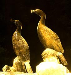 2008_Ice_Carvings_6137