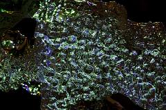 2008_Ice_Carvings_6202