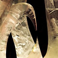 2008_Ice_Carvings_Hasselblad_Kodak_554585
