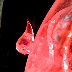 2008_Ice_Carvings_Hasselblad_Kodak_554588