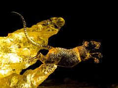 2008_Ice_Carvings_Hasselblad_Kodak_554651