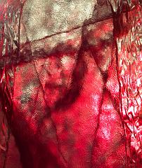 2008_Ice_Carvings_Hasselblad_Kodak_554709