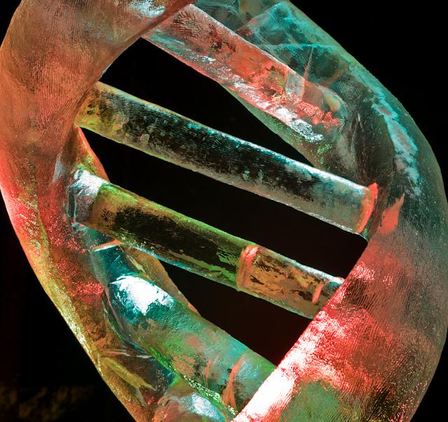 Ice_Alaska_09_Hasselblad_0003418.jpg - *temp*