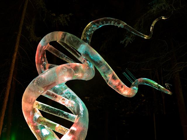 Ice_Alaska_09_Hasselblad_0003421.jpg - This double helix fell down after one day.