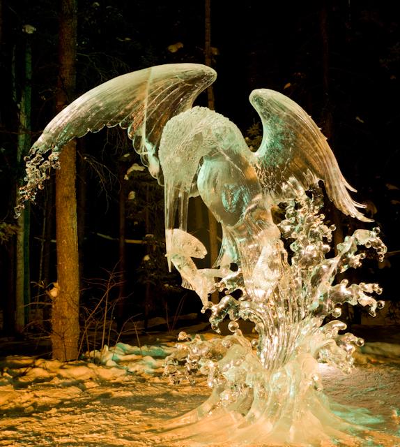 Ice_Alaska_09_Hasselblad_0003428.jpg - Kingfisher.  This one won first prize.