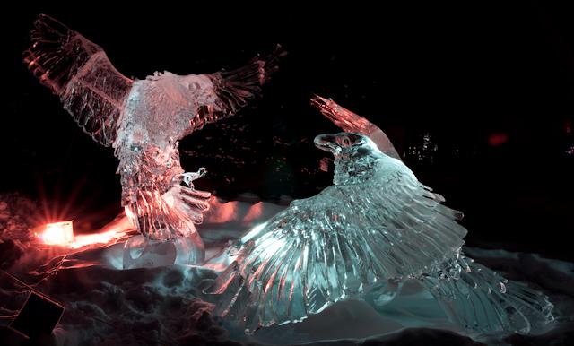 Ice_Alaska_09_Sony_4879.jpg - SONY DSC