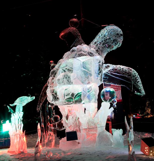 Ice_Alaska_09_Sony_4896.jpg - SONY DSC