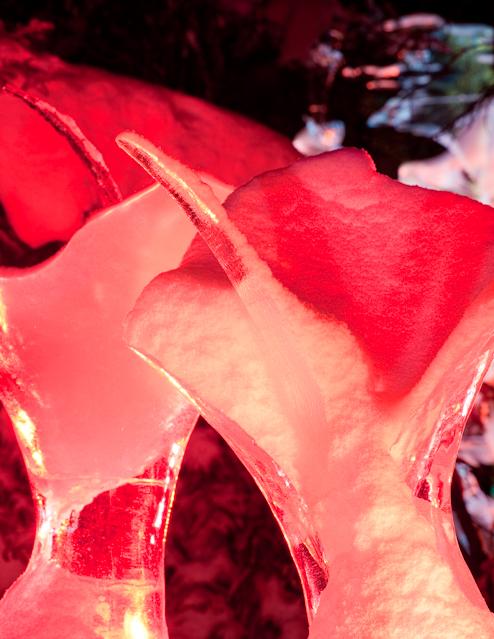 Ice_Carvings_09_Sony_4794.jpg - SONY DSC