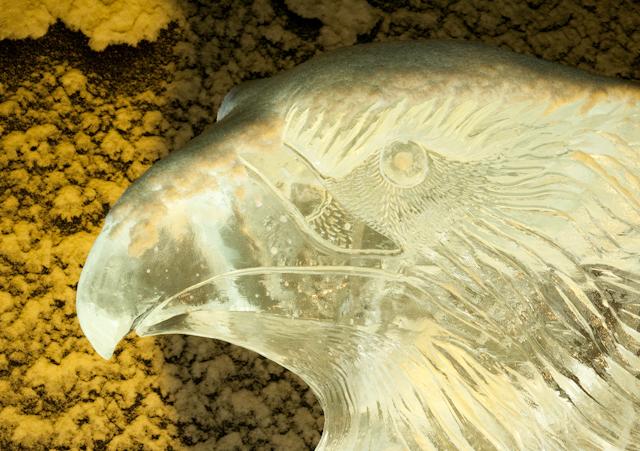 Ice_Carvings_09_Sony_4834.jpg - SONY DSC