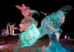 Ice_Alaska_09_Sony_4922