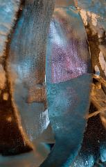 Ice_Carvings_09_Sony_4793