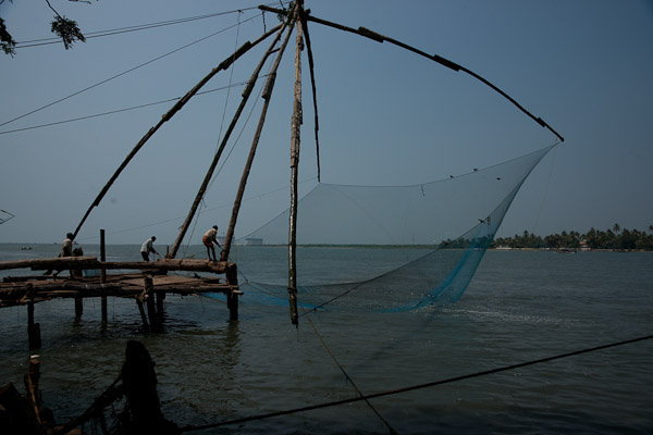 India_JanFeb_10_Cochin_7137.jpg