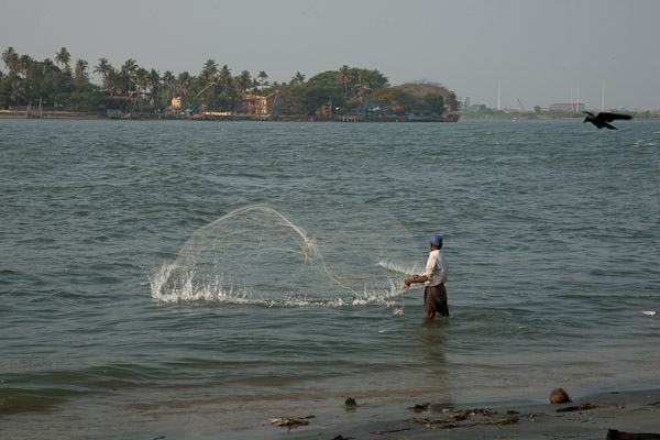 India_JanFeb_10_Cochin_7236.jpg