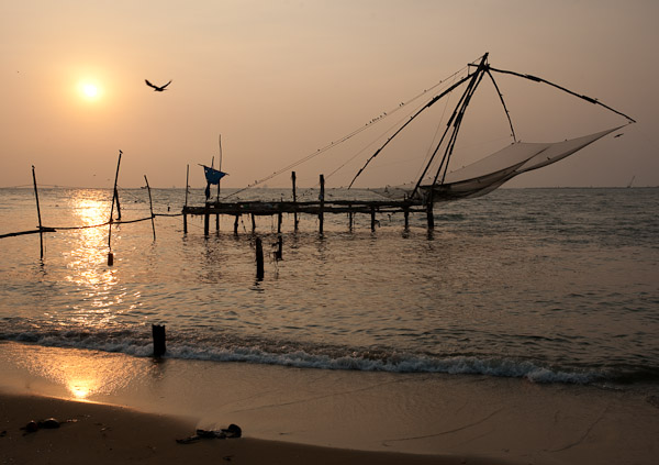 India_JanFeb_10_Cochin_7282.jpg