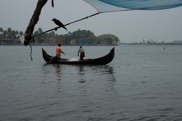 India_JanFeb_10_Cochin_7584.jpg - Fishing with monofilament net.  The life expectancy of a fish here must be pretty short.  Probably no size limits.