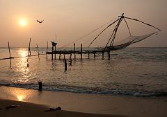 India_JanFeb_10_Cochin_7282