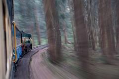 India_JanFeb_10_Coonor_7896