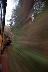 India_JanFeb_10_Coonor_8356