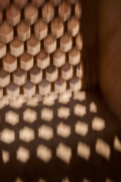 India_JanFeb_10_Jaipur_5351.jpg - Lattice in Amber Fort