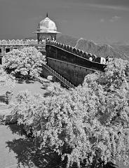 India_JanFeb_10_Infrared_1520