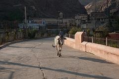 India_JanFeb_10_Jaipur_5135