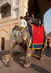 India_JanFeb_10_Jaipur_5401