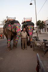 India_JanFeb_10_Jaipur_5436