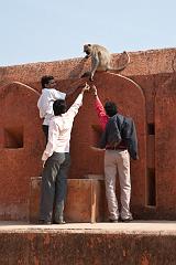 India_JanFeb_10_Jaipur_5477