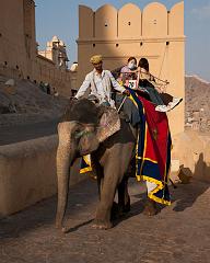 India_JanFeb_10_Jaipur_5582