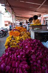 India_Jan_Feb_10_Jaipur_4904