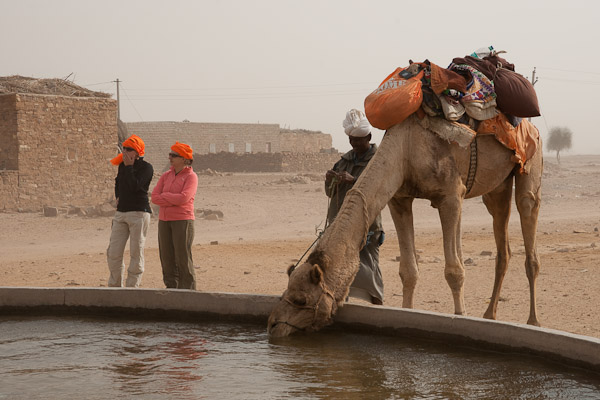 India_JanFeb_10_Jaisalmer_6589.jpg - Watering