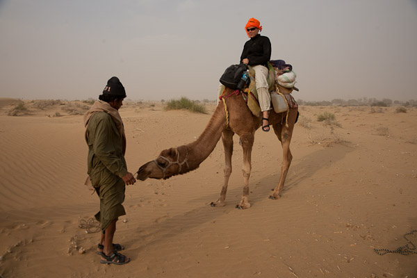 India_JanFeb_10_Jaisalmer_6636.jpg - Start of sequence of camel going down.
