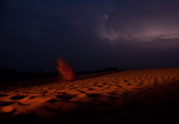 India_JanFeb_10_Jaisalmer_6738.jpg - Dog with lightning