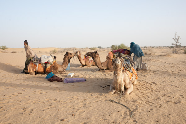 India_JanFeb_10_Jaisalmer_6776.jpg - Loading up the next morning