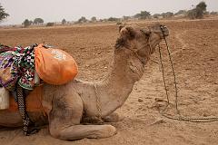 India_JanFeb_10_Jaisalmer_6574