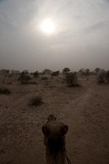 India_JanFeb_10_Jaisalmer_6612