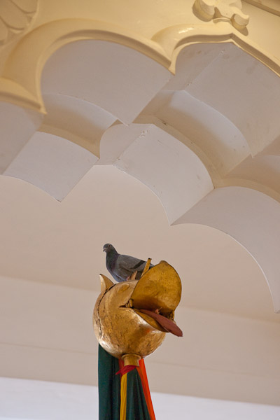 India_JanFeb_10_Jodhpur_6321.jpg - Pigeion on standard